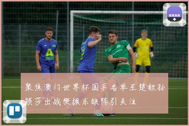 聚焦澳门世界杯国乒名单王楚钦孙颖莎出战樊振东缺阵引关注