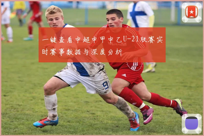 一键查看中超中甲中乙U-21联赛实时赛事数据与深度分析
