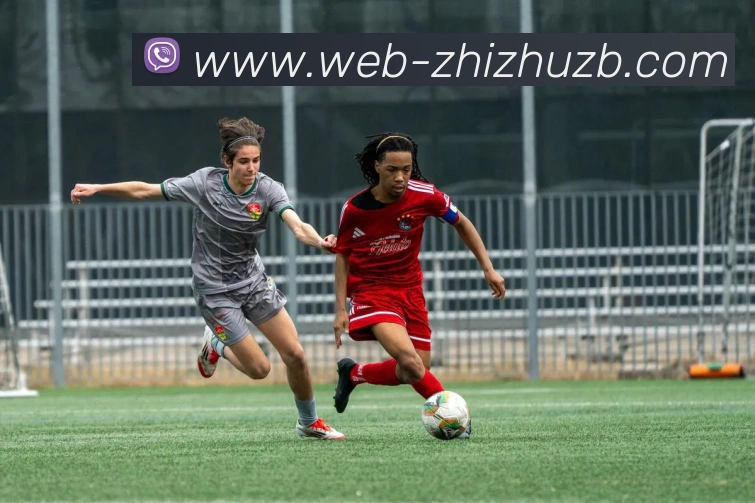 蜘蛛直播:全球职业竞技赛事资讯与实时数据交互门户品牌故事