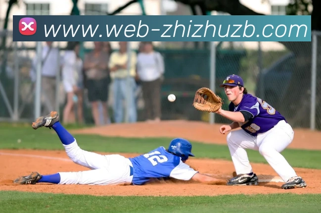 蜘蛛直播:全球职业竞技赛事资讯与实时数据交互门户服务体系