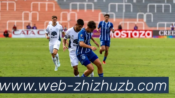 App Interface Preview